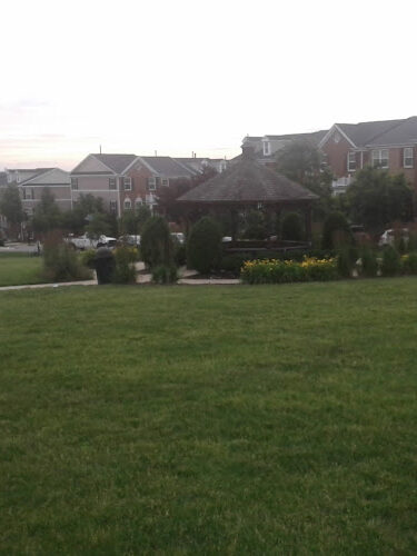 Park with Gazebo