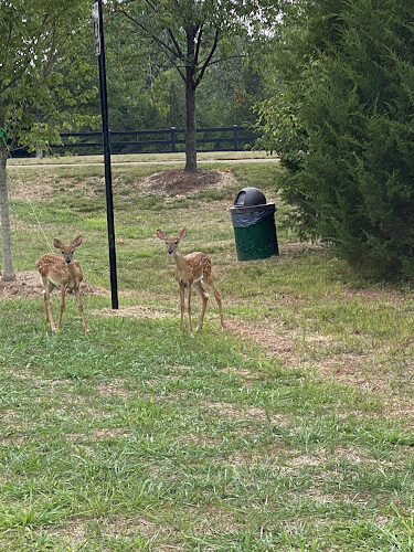 Potomac Green Neighborhood Park