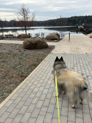 Reservoir Park