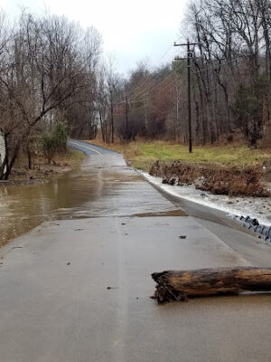 W & OD Trail
