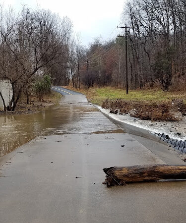 W & OD Trail