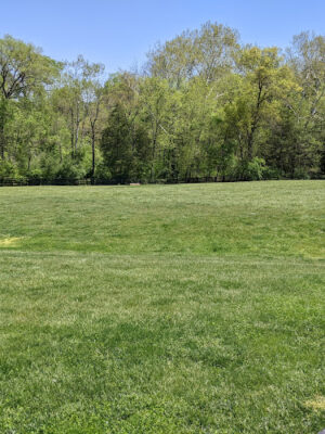 Willowsford Dog Park