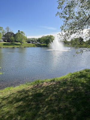 Windmill Park