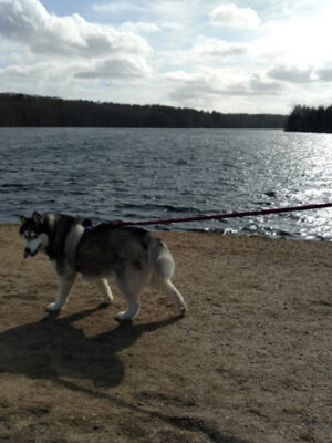 Ashland State Park