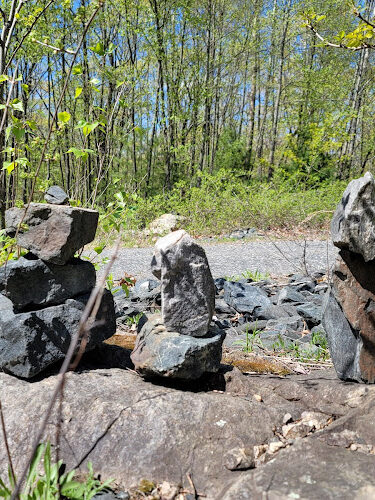Ashland Town Forest - Ashland, MA