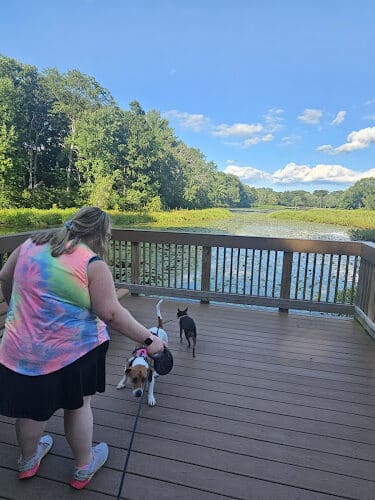 Mill Pond Park