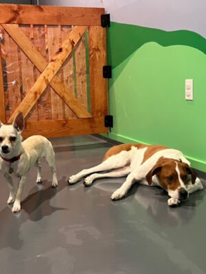 BB's PLAYHOUSE