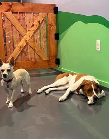 BB's PLAYHOUSE