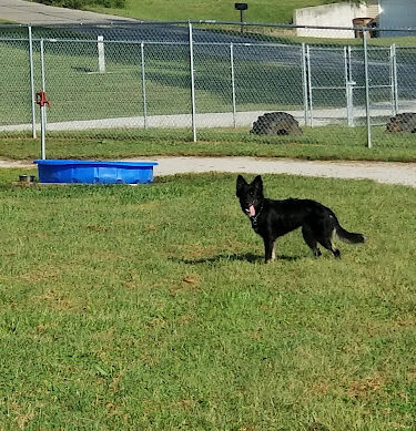 Atchison Fetch & Stretch Dog Park