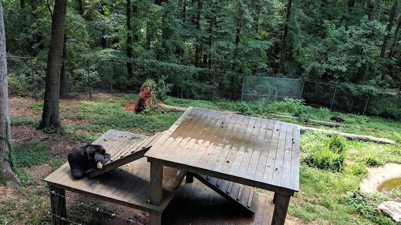 Athens Memorial Dog Park - Athens,