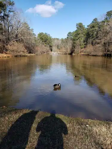Athens Memorial Dog Park