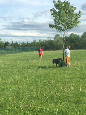 Athens Bunker Hill Dog Park