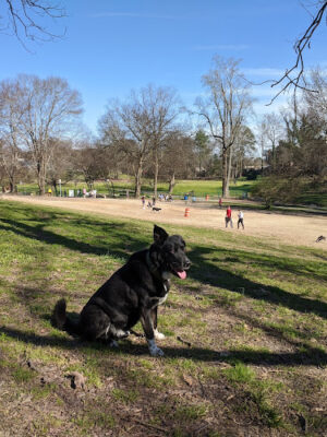 Brookhaven Park