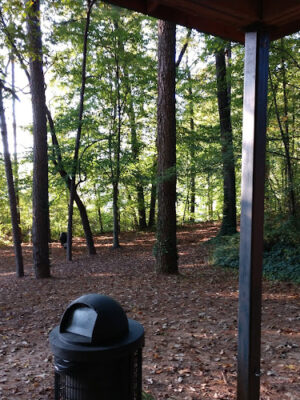 Chicopee Park