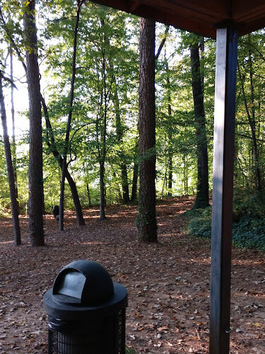 Chicopee Park