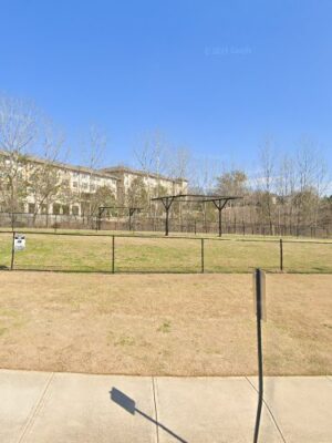 Dog Park