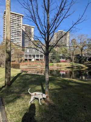 Duck Pond Park