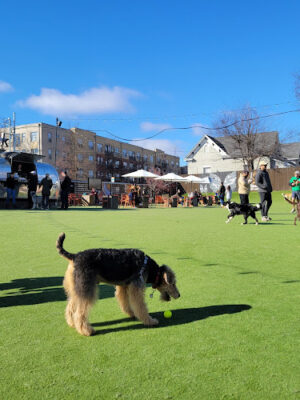 Fetch Park O4W