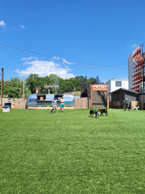 Fetch Park @ The Works