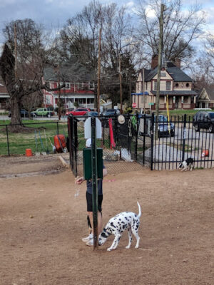 Freedom Barkway Dog Park