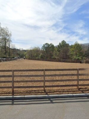 Historic Fourth Ward Dog Park