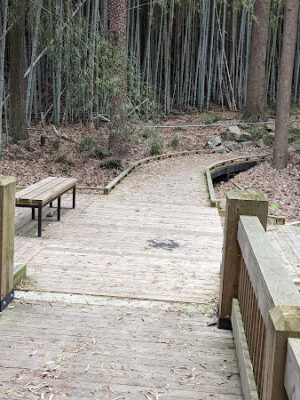Indian Creek Park