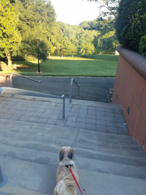 Lenox Park