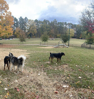 Mozley Park Dog Park
