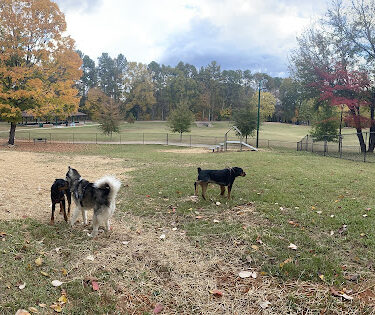 Mozley Park Dog Park