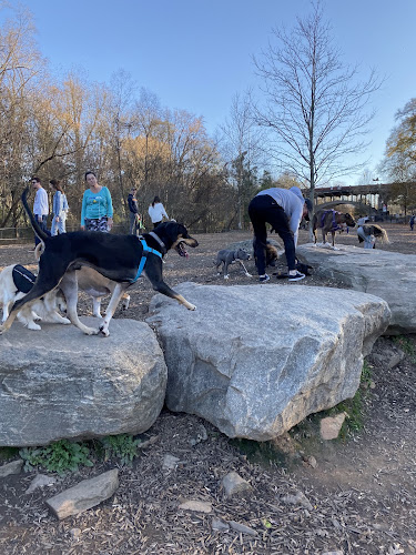Piedmont Dog Park