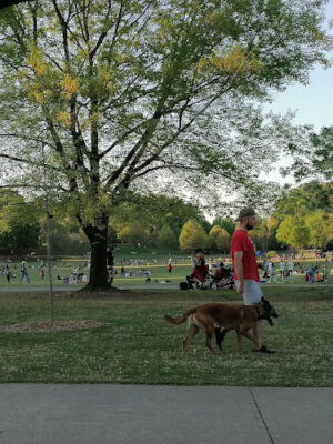 Piedmont Park