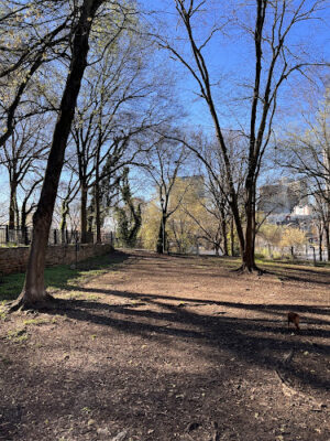 Renaissance Dog Park