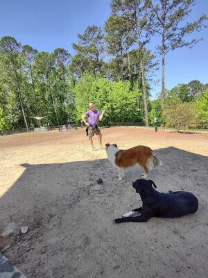 Skyland Park