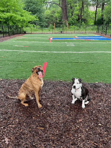 Zeno's Backyard Bark Park