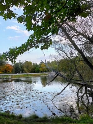 Atlanta Park