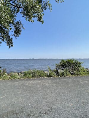 Popamora Point Dog Park