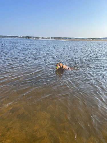 Au Train Beach
