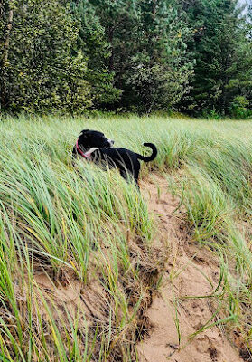 Sandy Public Beach