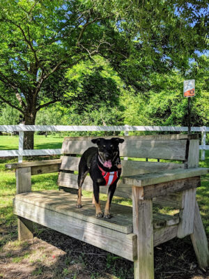 Kiesel Park