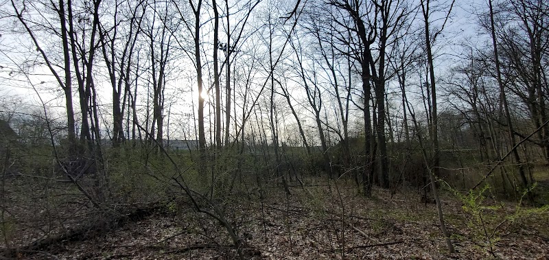 Auburn Hills Multi Sports Field - Auburn Hills,