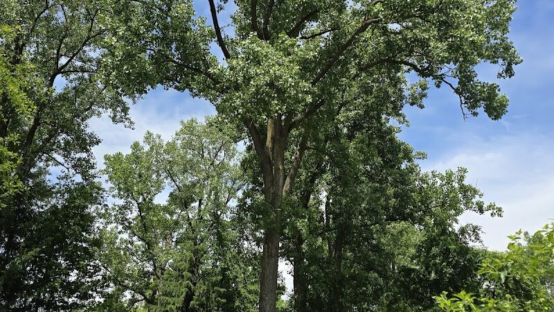 River Woods Park - Auburn Hills,