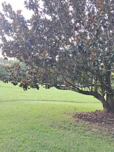Kiesel Park - Auburn, AL