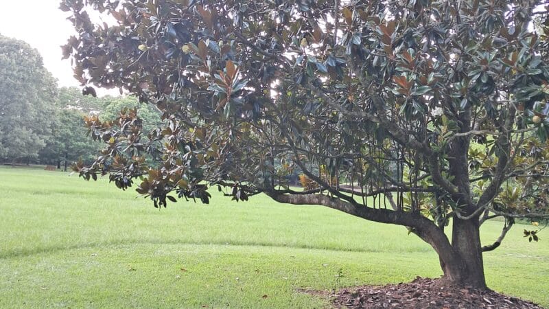 Kiesel Park - Auburn, AL