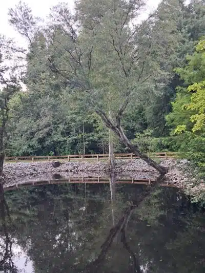 Kiesel Park - Auburn, AL