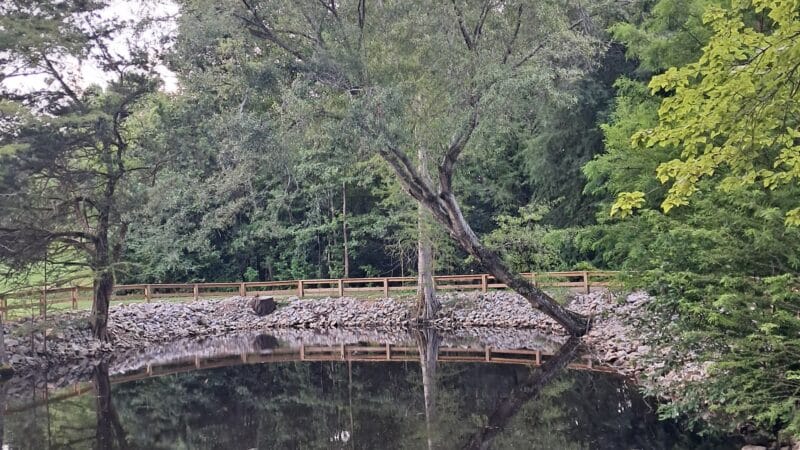 Kiesel Park - Auburn, AL