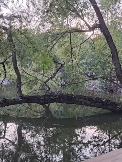 Kiesel Park - Auburn, AL