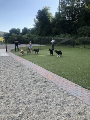 Town of Auburn Dog Park