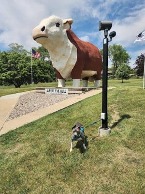 Albert the Bull Park: World's Largest Bull