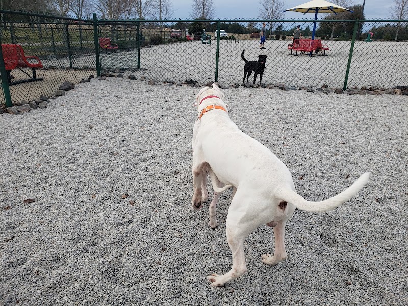Fort Gordon Dog Park - Augusta, GA
