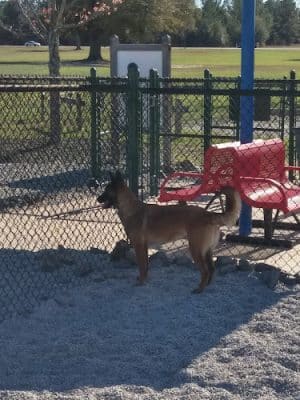 Fort Gordon Dog Park